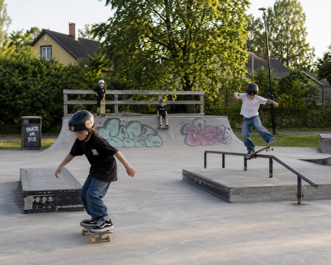 Skate
